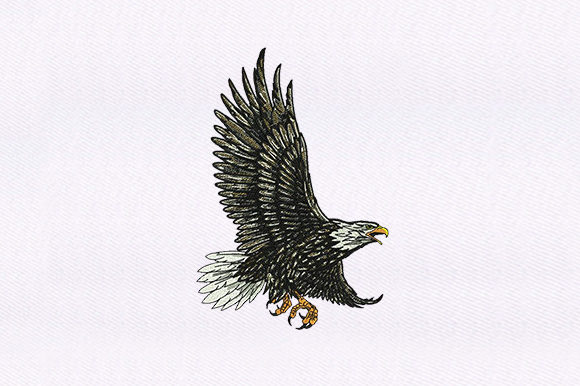 Download Feather Detailed Eagle Design - Design Collection